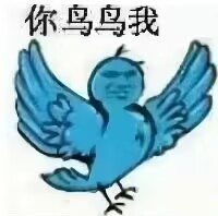 糊得包浆的“我鸟都不鸟你”表情包,怎么成了不少网友的赛博嘴替? 糊得包浆的“我鸟都不鸟你”表情包,怎么成了不少网友的赛博嘴替?