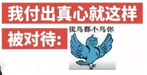 糊得包浆的“我鸟都不鸟你”表情包,怎么成了不少网友的赛博嘴替? 糊得包浆的“我鸟都不鸟你”表情包,怎么成了不少网友的赛博嘴替?