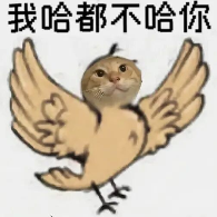 糊得包浆的“我鸟都不鸟你”表情包,怎么成了不少网友的赛博嘴替? 糊得包浆的“我鸟都不鸟你”表情包,怎么成了不少网友的赛博嘴替?