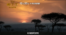游侠网2 游侠网2