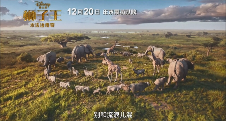 游侠网8 游侠网8
