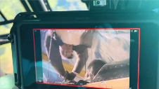 游侠网3 游侠网3