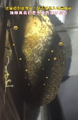 游侠网1 游侠网1