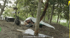 游侠网11 游侠网11
