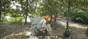 游侠网8 游侠网8