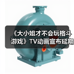 《大小姐才不会玩格斗游戏》TV动画宣布延期至2026年(图4) 《大小姐才不会玩格斗游戏》TV动画宣布延期至2026年(图4)