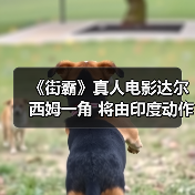 《街霸》真人电影达尔西姆一角 将由印度动作明星出演(图3) 《街霸》真人电影达尔西姆一角 将由印度动作明星出演(图3)