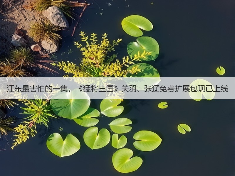 江东最害怕的一集，《猛将三国》关羽、张辽免费扩展包现已上线