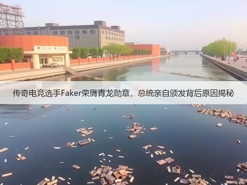 传奇电竞选手Faker荣膺青龙勋章，总统亲自颁发背后原因揭秘