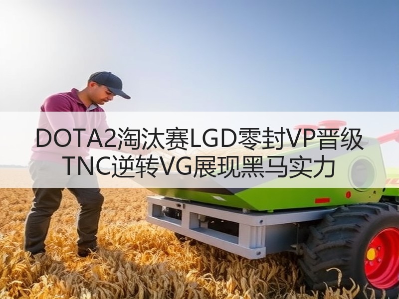 DOTA2淘汰赛LGD零封VP晋级 TNC逆转VG展现黑马实力