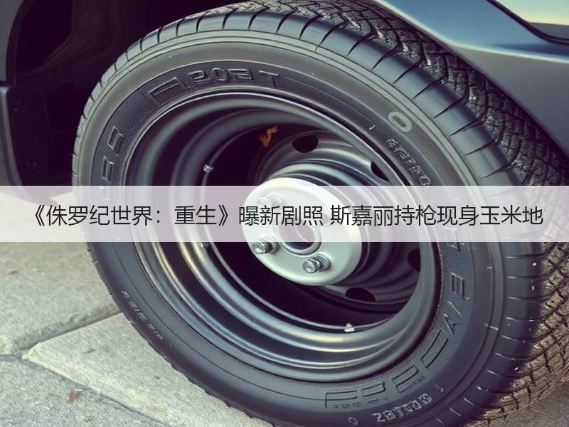 《侏罗纪世界：重生》曝新剧照 斯嘉丽持枪现身玉米地