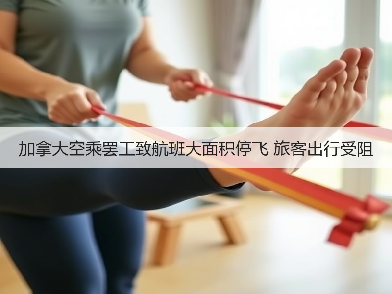 加拿大空乘罢工致航班大面积停飞 旅客出行受阻