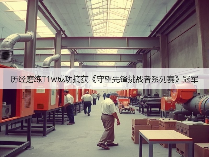 历经磨练T1w成功摘获《守望先锋挑战者系列赛》冠军