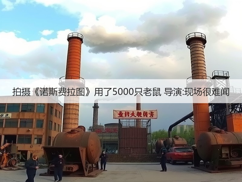 拍摄《诺斯费拉图》用了5000只老鼠 导演:现场很难闻