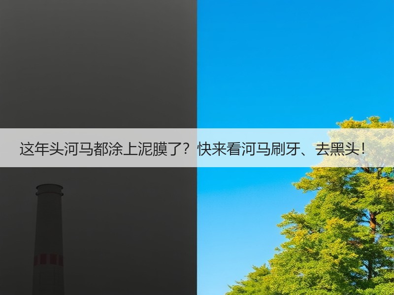 这年头河马都涂上泥膜了？快来看河马刷牙、去黑头！