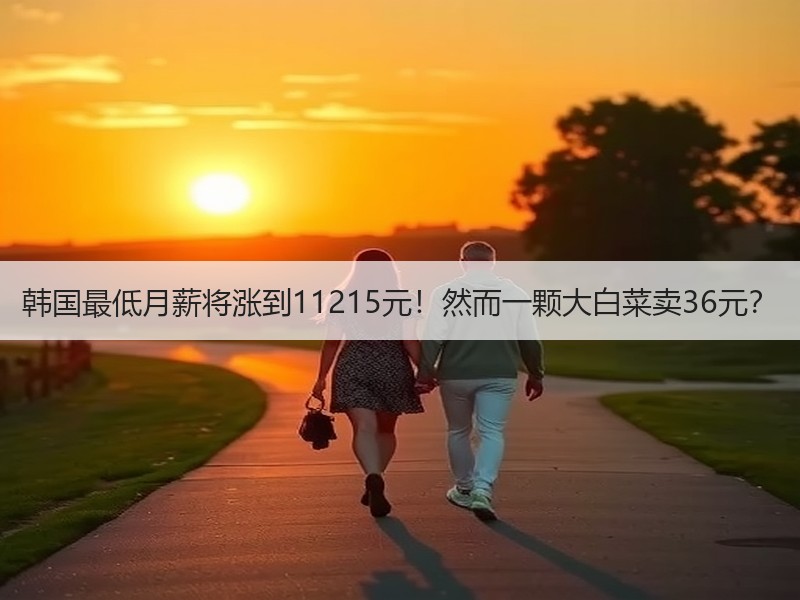 韩国最低月薪将涨到11215元！然而一颗大白菜卖36元？