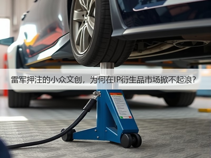 雷军押注的小众文创，为何在IP衍生品市场掀不起浪？