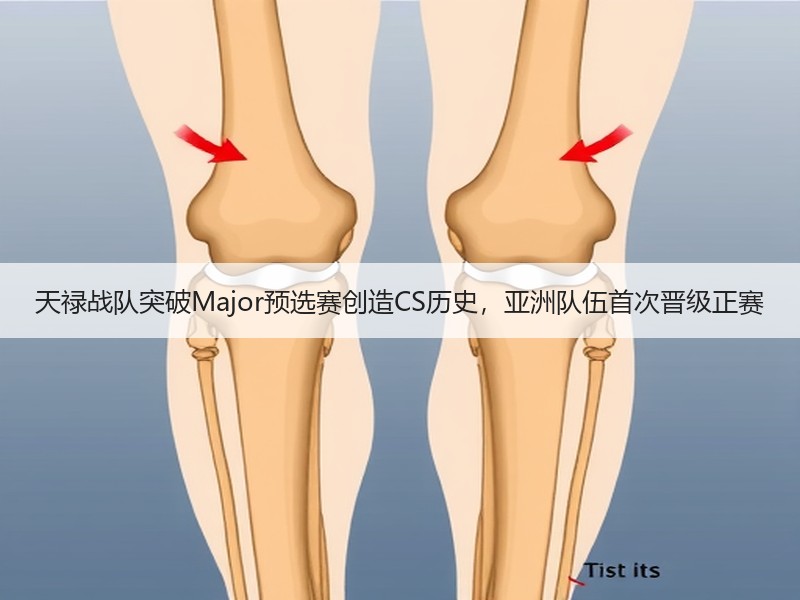 天禄战队突破Major预选赛创造CS历史，亚洲队伍首次晋级正赛
