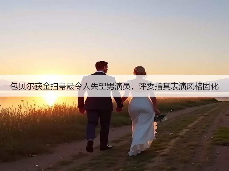包贝尔获金扫帚最令人失望男演员，评委指其表演风格固化