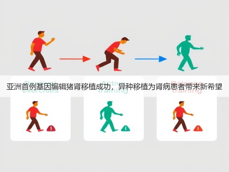 亚洲首例基因编辑猪肾移植成功，异种移植为肾病患者带来新希望