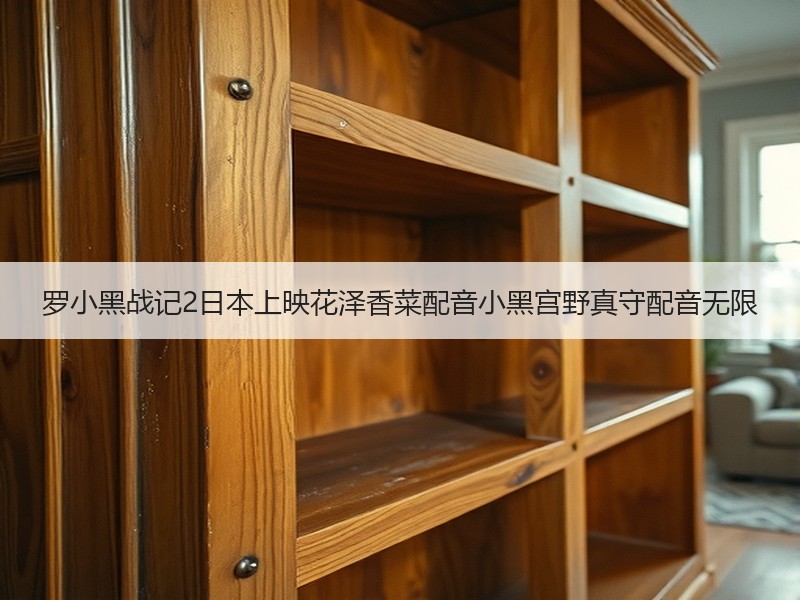 罗小黑战记2日本上映花泽香菜配音小黑宫野真守配音无限