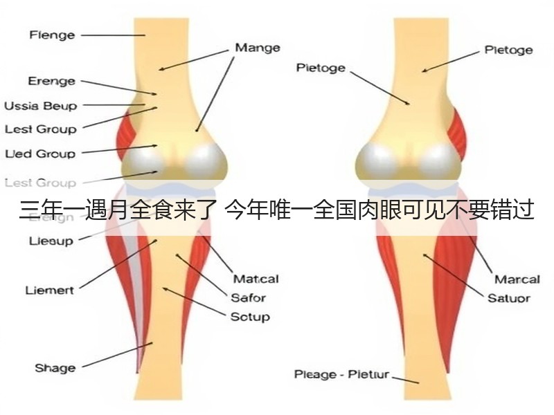 三年一遇月全食来了 今年唯一全国肉眼可见不要错过