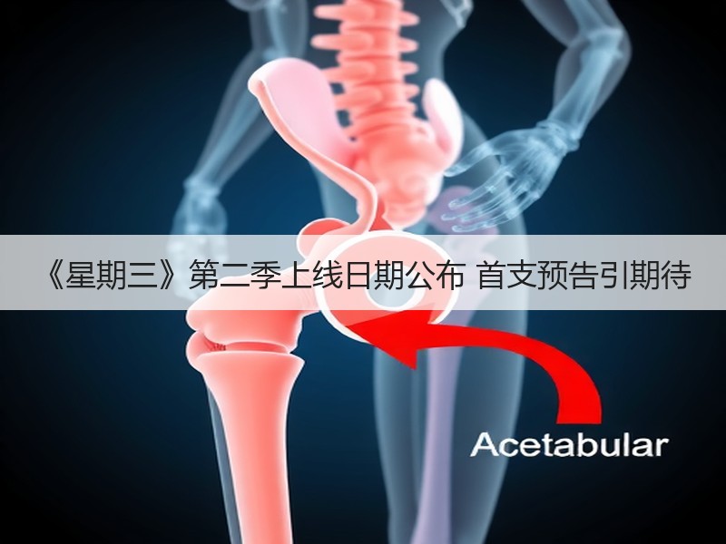 《星期三》第二季上线日期公布 首支预告引期待