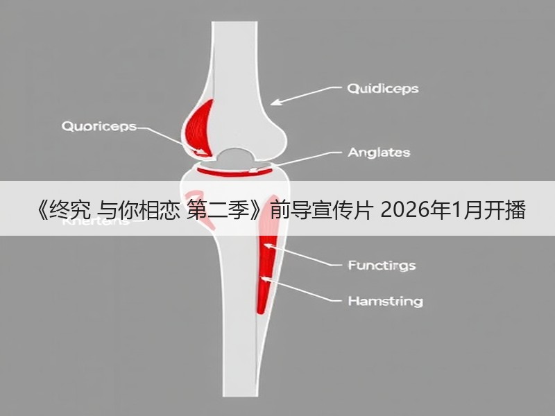 《终究 与你相恋 第二季》前导宣传片 2026年1月开播