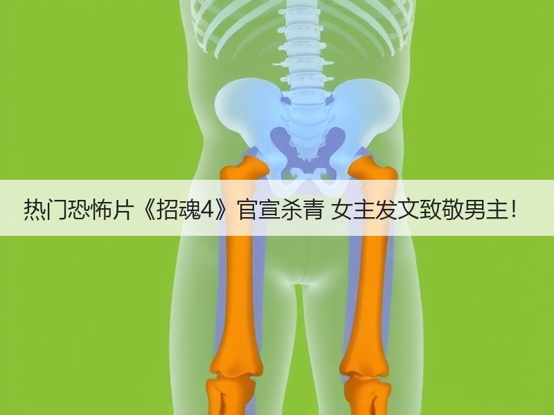 热门恐怖片《招魂4》官宣杀青 女主发文致敬男主！