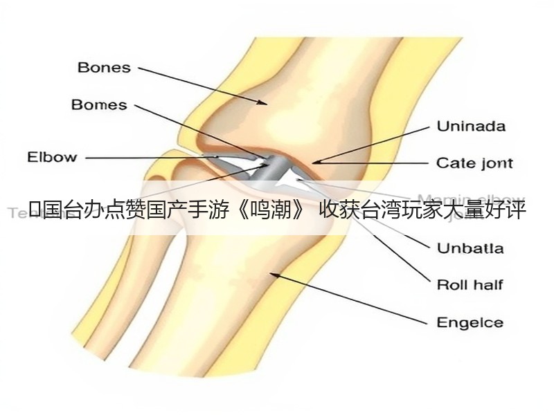‌国台办点赞国产手游《鸣潮》 收获台湾玩家大量好评