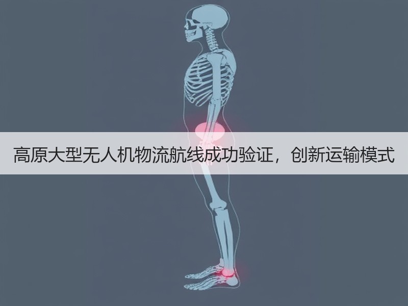 高原大型无人机物流航线成功验证，创新运输模式