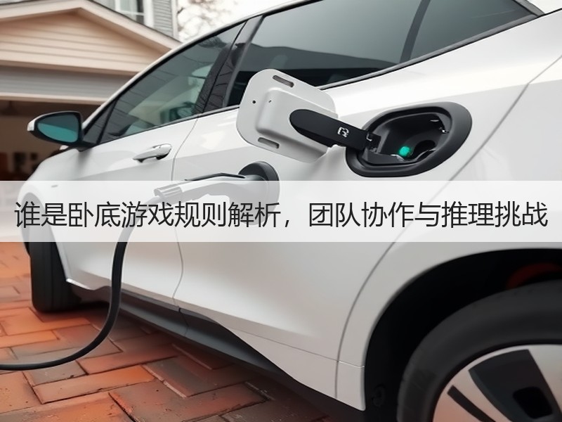 谁是卧底游戏规则解析，团队协作与推理挑战