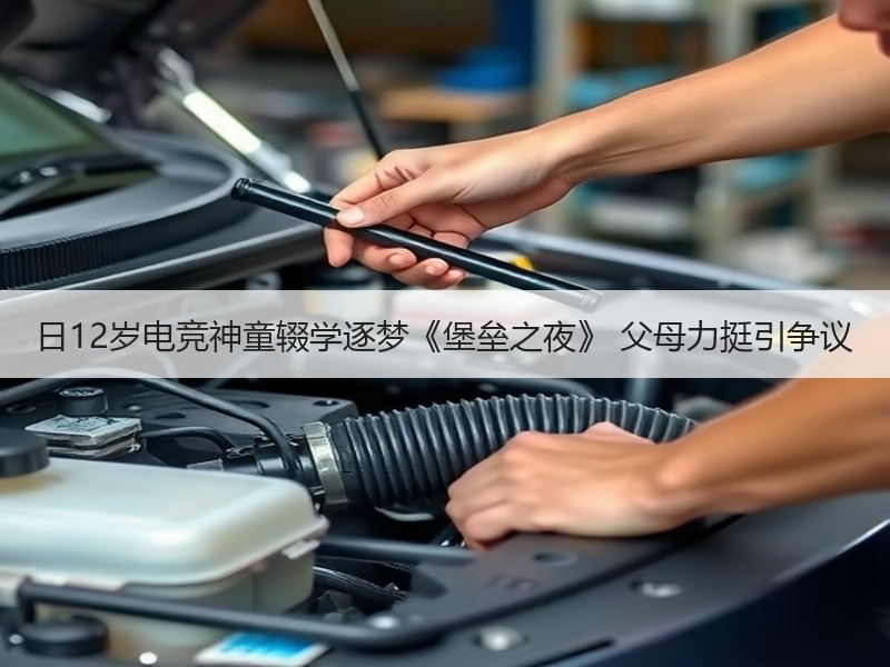 日12岁电竞神童辍学逐梦《堡垒之夜》 父母力挺引争议
