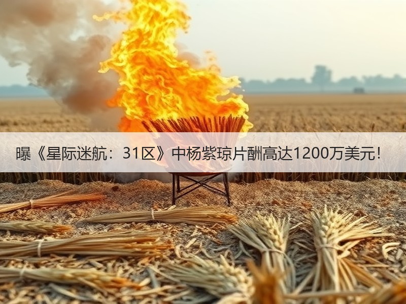 曝《星际迷航：31区》中杨紫琼片酬高达1200万美元！
