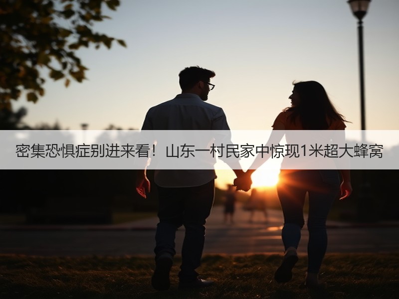 密集恐惧症别进来看！山东一村民家中惊现1米超大蜂窝