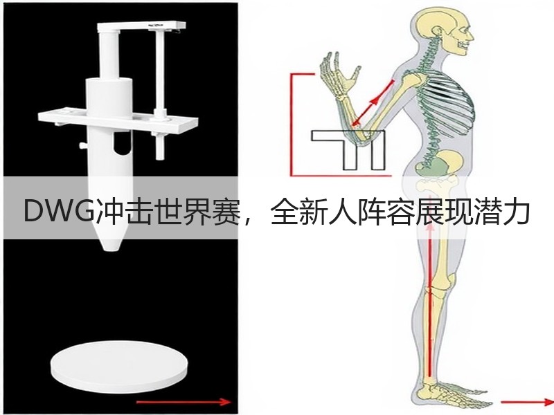 DWG冲击世界赛，全新人阵容展现潜力
