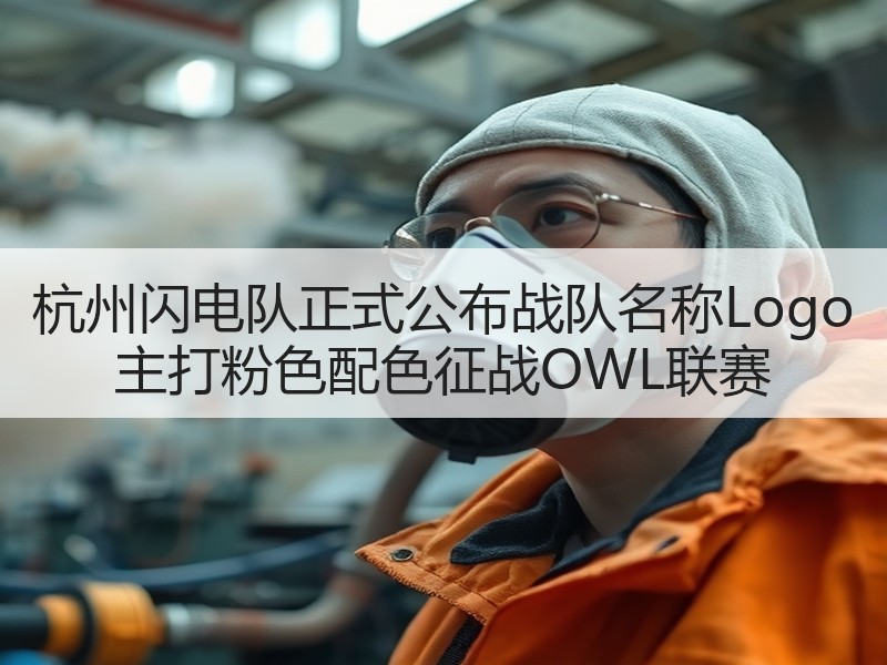 杭州闪电队正式公布战队名称Logo 主打粉色配色征战OWL联赛