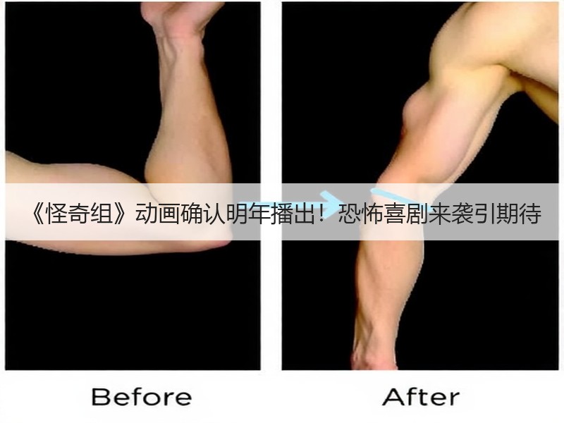 《怪奇组》动画确认明年播出！恐怖喜剧来袭引期待