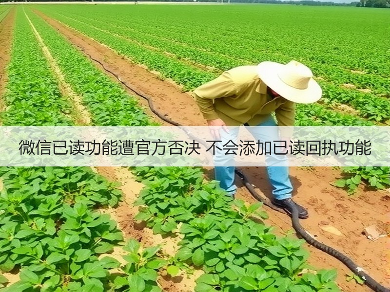 微信已读功能遭官方否决 不会添加已读回执功能