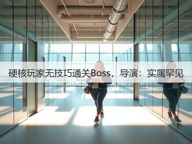 硬核玩家无技巧通关Boss，导演：实属罕见