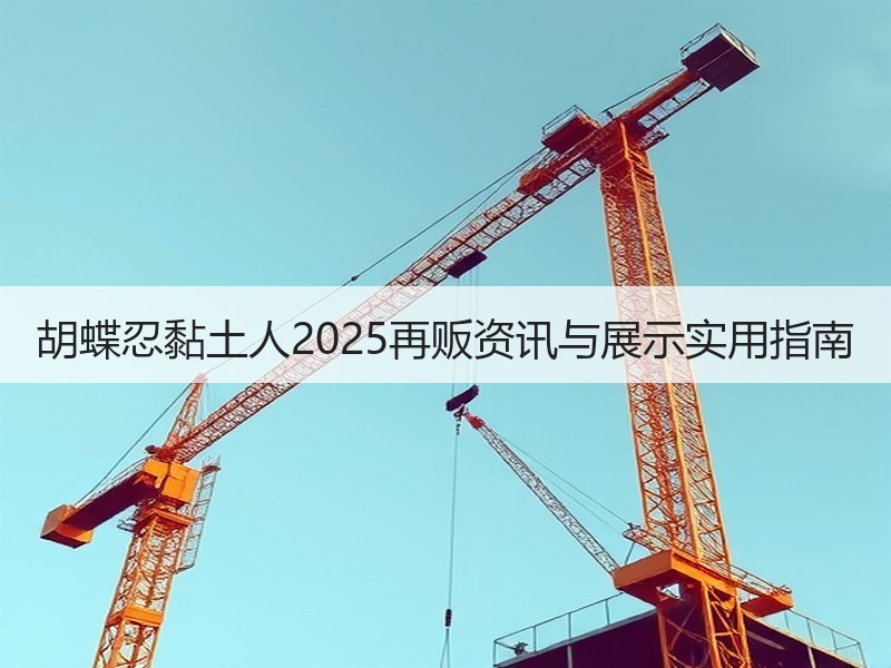 胡蝶忍黏土人2025再贩资讯与展示实用指南