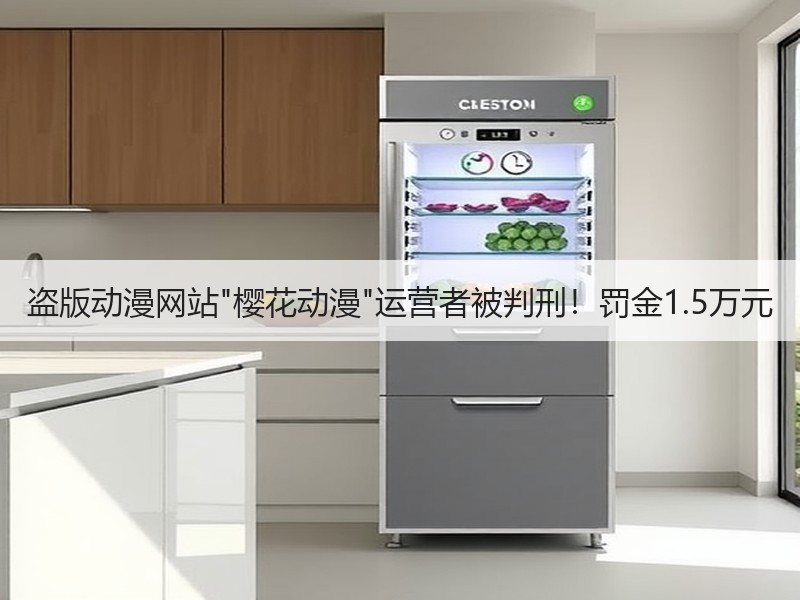 盗版动漫网站