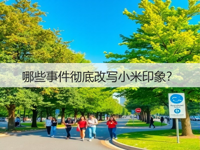 哪些事件彻底改写小米印象？