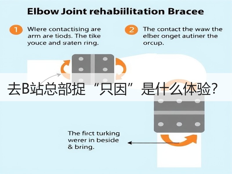 去B站总部捉“只因”是什么体验？