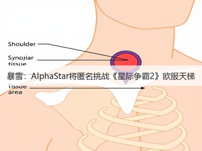 暴雪：AlphaStar将匿名挑战《星际争霸2》欧服天梯