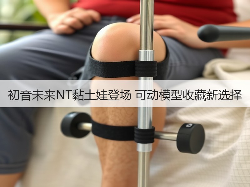 初音未来NT黏土娃登场 可动模型收藏新选择