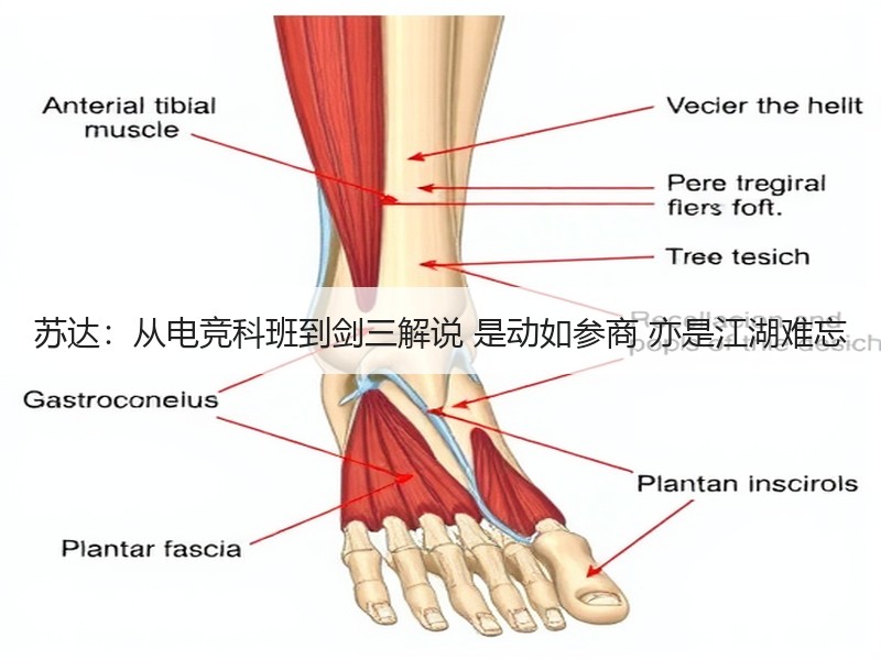 苏达：从电竞科班到剑三解说 是动如参商 亦是江湖难忘