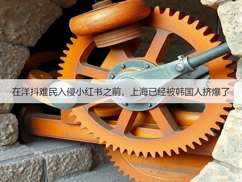 在洋抖难民入侵小红书之前，上海已经被韩国人挤爆了