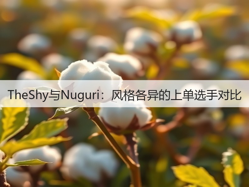 TheShy与Nuguri：风格各异的上单选手对比