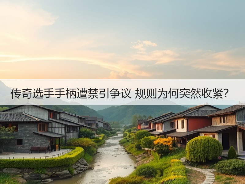 传奇选手手柄遭禁引争议 规则为何突然收紧？